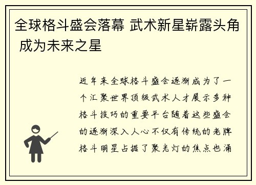 全球格斗盛会落幕 武术新星崭露头角 成为未来之星